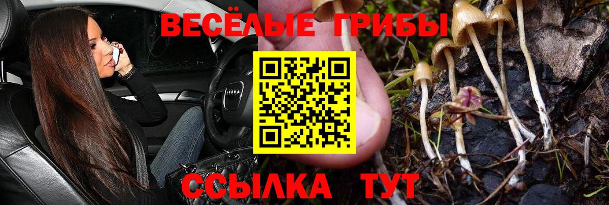 Алушта  Псилоцибиновые грибы ЛСД  Вход с VPN 