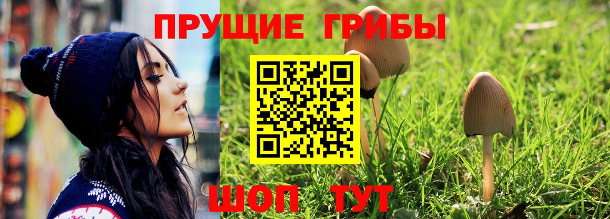 Галлюциногенные грибы Magic Shrooms Алушта